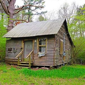 Photo of SOLD!!  12 Acres of Residential and Timber Land for Sale in Wake County NC!