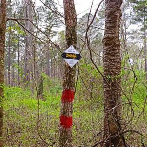 Photo of SOLD!!  12 Acres of Residential and Timber Land for Sale in Wake County NC!