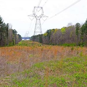Photo of SOLD!!  12 Acres of Residential and Timber Land for Sale in Wake County NC!