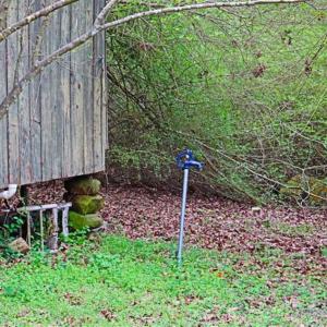 Photo of SOLD!!  12 Acres of Residential and Timber Land for Sale in Wake County NC!