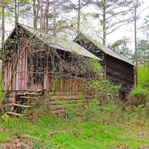 Photo of SOLD!!  12 Acres of Residential and Timber Land for Sale in Wake County NC!