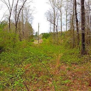 Photo of SOLD!!  12 Acres of Residential and Timber Land for Sale in Wake County NC!