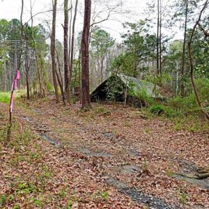 Photo of SOLD!!  12 Acres of Residential and Timber Land for Sale in Wake County NC!