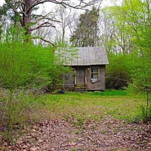 Photo of SOLD!!  12 Acres of Residential and Timber Land for Sale in Wake County NC!