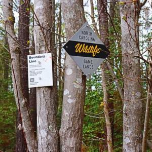 Photo of SOLD!!  12 Acres of Residential and Timber Land for Sale in Wake County NC!