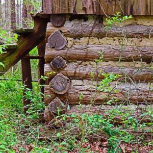 Photo of SOLD!!  12 Acres of Residential and Timber Land for Sale in Wake County NC!