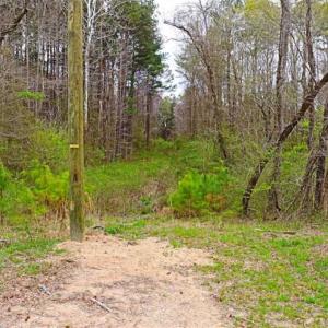 Photo of SOLD!!  12 Acres of Residential and Timber Land for Sale in Wake County NC!