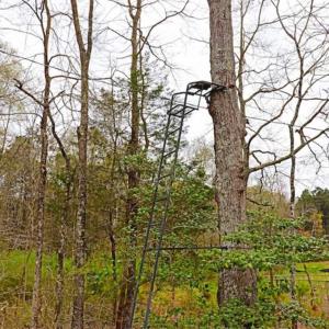 Photo of SOLD!!  12 Acres of Residential and Timber Land for Sale in Wake County NC!
