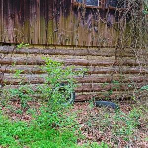 Photo of SOLD!!  12 Acres of Residential and Timber Land for Sale in Wake County NC!