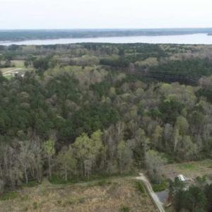 Photo of SOLD!!  12 Acres of Residential and Timber Land for Sale in Wake County NC!