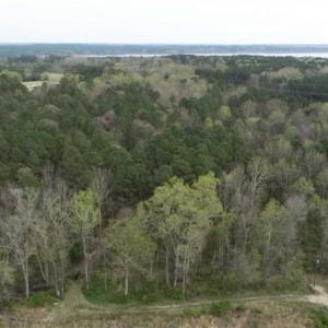 Photo of SOLD!!  12 Acres of Residential and Timber Land for Sale in Wake County NC!
