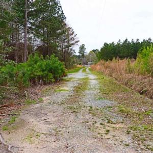 Photo of SOLD!!  12 Acres of Residential and Timber Land for Sale in Wake County NC!