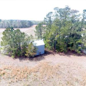 Photo of SOLD!!  42 Acres of Farm and Hunting Land For Sale in Columbus County NC!