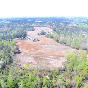 Photo of SOLD!!  42 Acres of Farm and Hunting Land For Sale in Columbus County NC!
