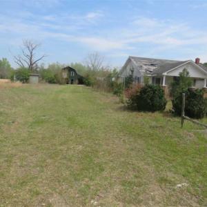 Photo of SOLD!!  42 Acres of Farm and Hunting Land For Sale in Columbus County NC!