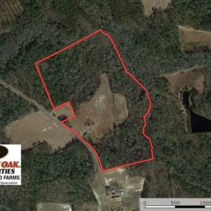Photo of SOLD!!  42 Acres of Farm and Hunting Land For Sale in Columbus County NC!