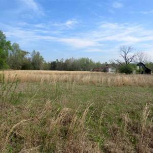Photo of SOLD!!  42 Acres of Farm and Hunting Land For Sale in Columbus County NC!