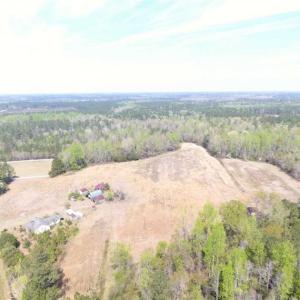 Photo of SOLD!!  42 Acres of Farm and Hunting Land For Sale in Columbus County NC!