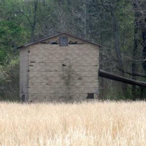 Photo of SOLD!!  42 Acres of Farm and Hunting Land For Sale in Columbus County NC!