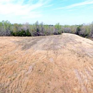 Photo of SOLD!!  42 Acres of Farm and Hunting Land For Sale in Columbus County NC!