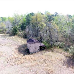 Photo of SOLD!!  42 Acres of Farm and Hunting Land For Sale in Columbus County NC!