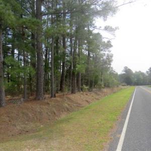 Photo of SOLD!!  42 Acres of Farm and Hunting Land For Sale in Columbus County NC!