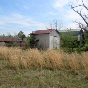 Photo of SOLD!!  42 Acres of Farm and Hunting Land For Sale in Columbus County NC!