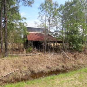 Photo of SOLD!!  42 Acres of Farm and Hunting Land For Sale in Columbus County NC!