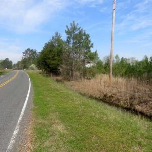 Photo of SOLD!!  42 Acres of Farm and Hunting Land For Sale in Columbus County NC!