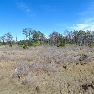 Photo of SOLD!!  41 Acres of Waterfront Property For Sale in Accomack County VA!