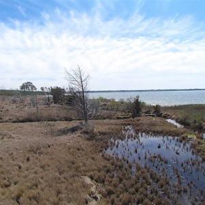 Photo of SOLD!!  41 Acres of Waterfront Property For Sale in Accomack County VA!