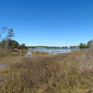 Photo of SOLD!!  41 Acres of Waterfront Property For Sale in Accomack County VA!