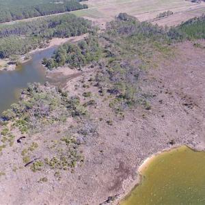 Photo of SOLD!!  41 Acres of Waterfront Property For Sale in Accomack County VA!