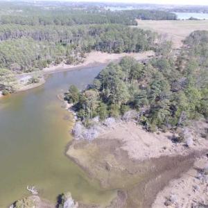 Photo of SOLD!!  41 Acres of Waterfront Property For Sale in Accomack County VA!