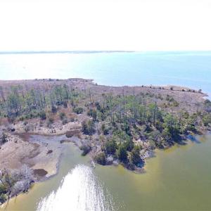 Photo of SOLD!!  41 Acres of Waterfront Property For Sale in Accomack County VA!