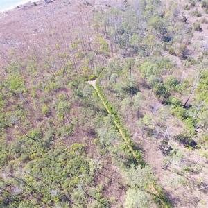 Photo of SOLD!!  41 Acres of Waterfront Property For Sale in Accomack County VA!