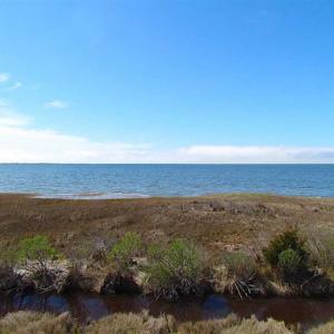 Photo of SOLD!!  41 Acres of Waterfront Property For Sale in Accomack County VA!