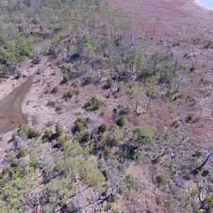 Photo of SOLD!!  41 Acres of Waterfront Property For Sale in Accomack County VA!