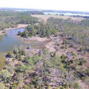 Photo of SOLD!!  41 Acres of Waterfront Property For Sale in Accomack County VA!
