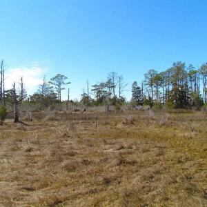 Photo of SOLD!!  41 Acres of Waterfront Property For Sale in Accomack County VA!
