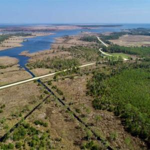 Photo of 16.64 Acres of Hunting Land for Sale in Pamlico County NC!