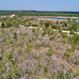 Photo of 16.64 Acres of Hunting Land for Sale in Pamlico County NC!