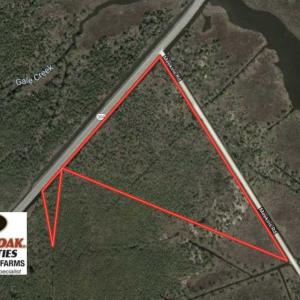 Photo of 16.64 Acres of Hunting Land for Sale in Pamlico County NC!