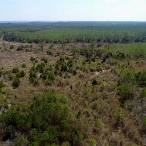 Photo of 16.64 Acres of Hunting Land for Sale in Pamlico County NC!