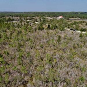 Photo of 16.64 Acres of Hunting Land for Sale in Pamlico County NC!