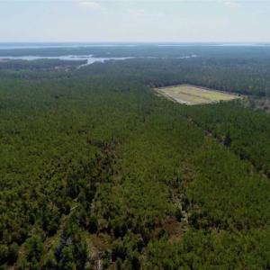 Photo of 16.64 Acres of Hunting Land for Sale in Pamlico County NC!