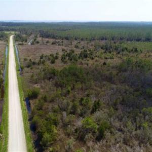 Photo of 16.64 Acres of Hunting Land for Sale in Pamlico County NC!