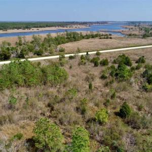 Photo of 16.64 Acres of Hunting Land for Sale in Pamlico County NC!