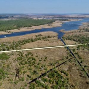 Photo of 16.64 Acres of Hunting Land for Sale in Pamlico County NC!