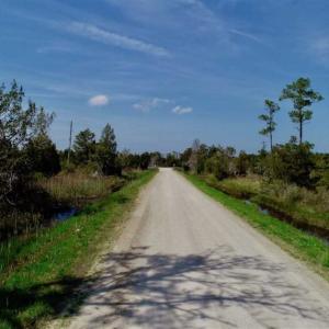 Photo of 16.64 Acres of Hunting Land for Sale in Pamlico County NC!